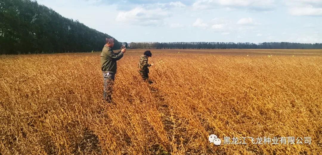 1640658631369212.jpg 5.jpg