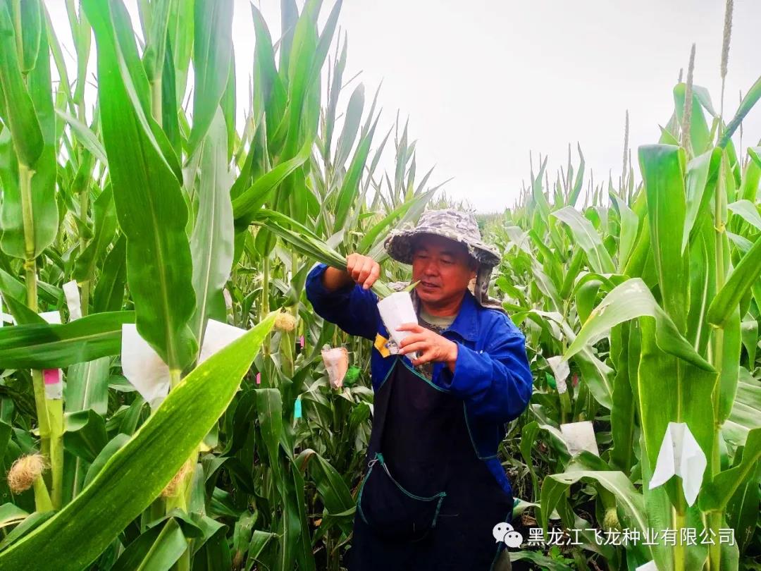 1640659437113199.jpg 5.jpg