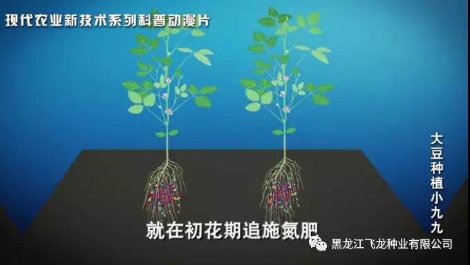 1640675678716909.jpg 8.jpg