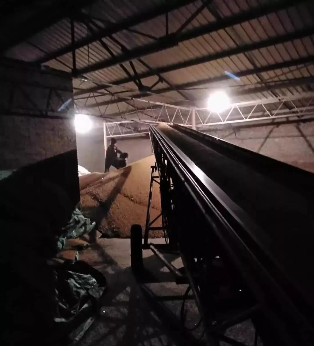 1640677203133725.jpg 7.jpg