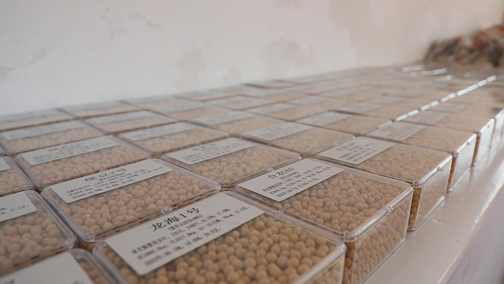 1709715508111736.jpg 5.jpg