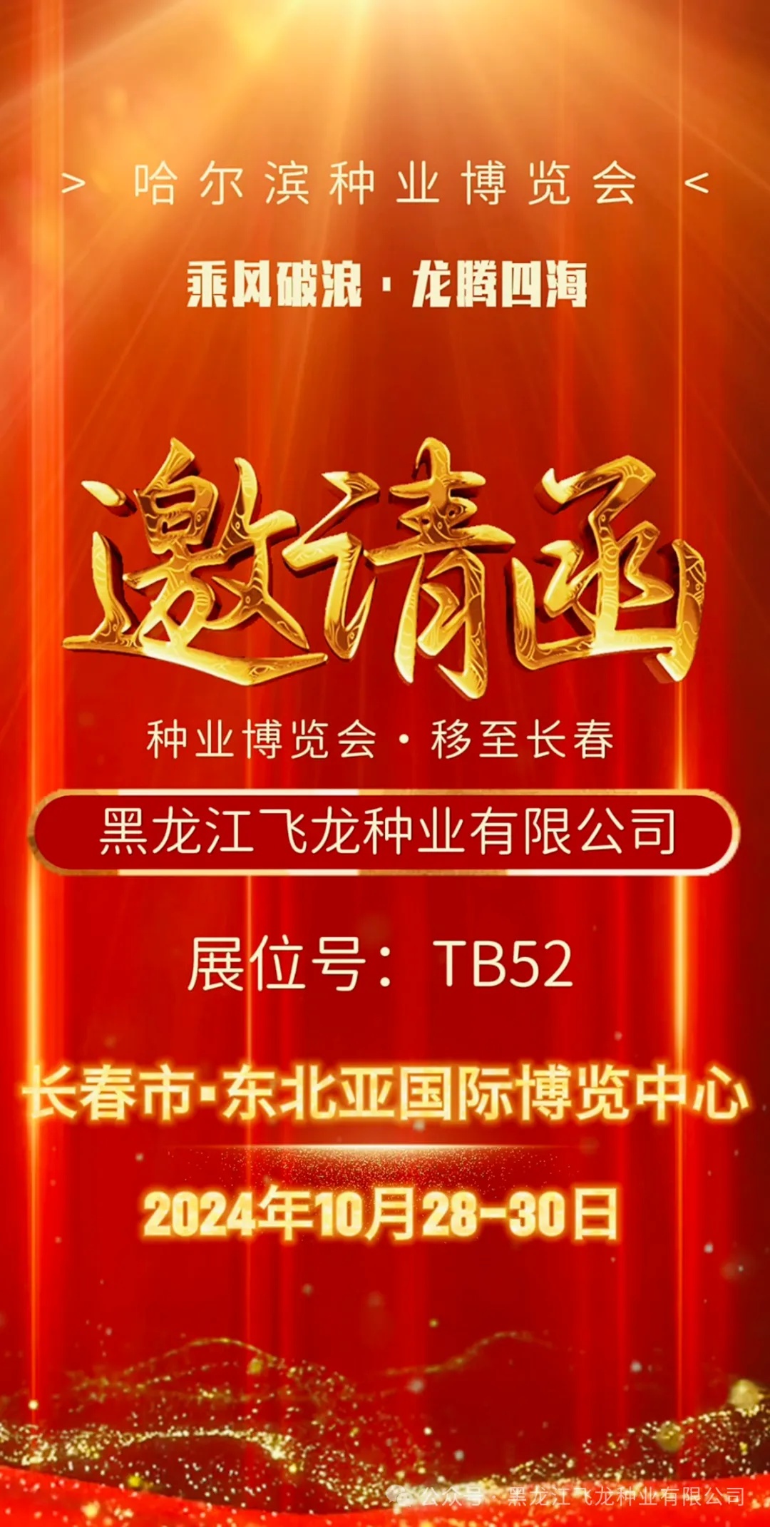 1730171028818507.jpg 1.jpg